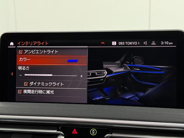 Ｘ４ ｘＤｒｉｖｅ　２０ｄ　Ｍスポーツ　全国２年保証付　サンルーフ　ヴァーネスカレザーブラック　１９ＡＷ　ＡＣＣ　ハンズオフアシスト　ヘッドアップディスプレイ　電動トランク　地上デジタルＴＶナビ　アンビエントライト　ＡｐｐｌｅＣａｒＰｌａｙ（35枚目）