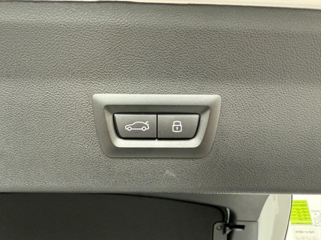 Ｘ４ ｘＤｒｉｖｅ　２０ｄ　Ｍスポーツ　全国２年保証付　サンルーフ　ヴァーネスカレザーブラック　１９ＡＷ　ＡＣＣ　ハンズオフアシスト　ヘッドアップディスプレイ　電動トランク　地上デジタルＴＶナビ　アンビエントライト　ＡｐｐｌｅＣａｒＰｌａｙ（48枚目）