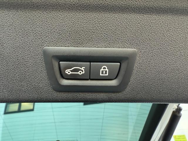 Ｘ６ ｘＤｒｉｖｅ　３５ｄ　Ｍスポーツ　全国２年保証付　ヴァーネスカレザー・タコラレッドシート　ＯＰ２１インチＡＷ　Ｍスポーツブレーキ　ＡＣＣ　ハンズオフアシスト　全周囲カメラ　ＨＵＤ　地上デジタルＴＶナビ　ＡｐｐｌｅＣａｒＰｌａｙ（45枚目）