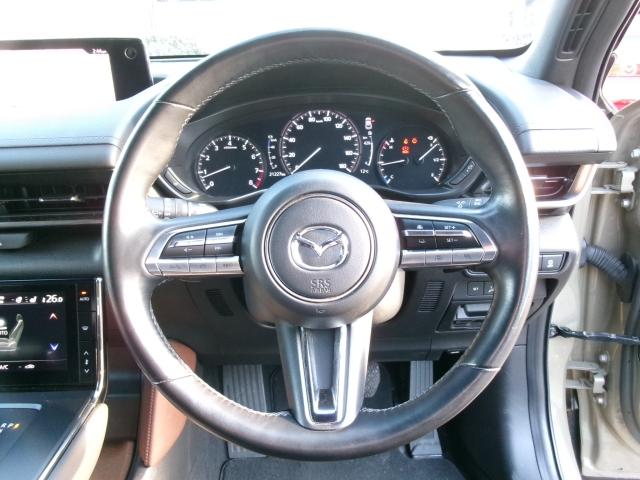 MX-30 2.0 インダストリアル クラシック インダストリアル Bluetooth接続 地デジ LEDヘッドライト レーダークルーズコントロール レーンアシスト 1オーナー 衝突軽減 ETC車載器 電動シート メモリーナビ シートヒーター 禁煙車(16枚目)