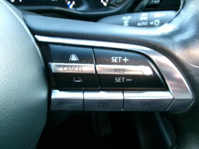 MX-30 2.0 インダストリアル クラシック インダストリアル Bluetooth接続 地デジ LEDヘッドライト レーダークルーズコントロール レーンアシスト 1オーナー 衝突軽減 ETC車載器 電動シート メモリーナビ シートヒーター 禁煙車(19枚目)