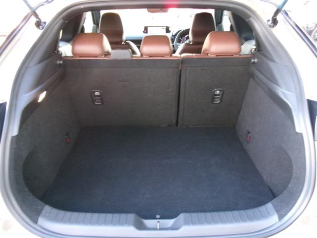 MX-30 2.0 インダストリアル クラシック インダストリアル Bluetooth接続 地デジ LEDヘッドライト レーダークルーズコントロール レーンアシスト 1オーナー 衝突軽減 ETC車載器 電動シート メモリーナビ シートヒーター 禁煙車(33枚目)