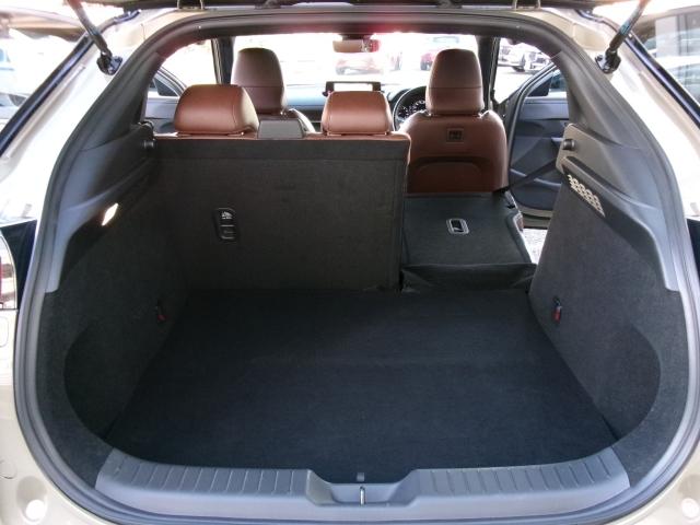 MX-30 2.0 インダストリアル クラシック インダストリアル Bluetooth接続 地デジ LEDヘッドライト レーダークルーズコントロール レーンアシスト 1オーナー 衝突軽減 ETC車載器 電動シート メモリーナビ シートヒーター 禁煙車(34枚目)