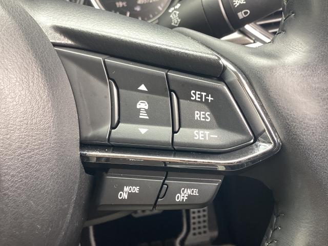 CX-5 2.5 25S Lパッケージ 2WD レーダークルーズ バックカメラ 白本革シート 前席電動シート シートヒーター LEDヘッドライト フォグランプ CDDVDTV パーキングセンサー パワーリフトゲート AAC ETC付き PS(23枚目)