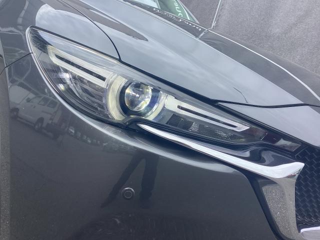 CX-5 2.5 25S Lパッケージ 2WD レーダークルーズ バックカメラ 白本革シート 前席電動シート シートヒーター LEDヘッドライト フォグランプ CDDVDTV パーキングセンサー パワーリフトゲート AAC ETC付き PS(31枚目)