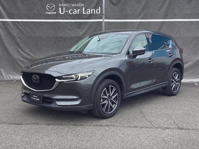 CX-5 2.5 25S Lパッケージ 2WD レーダークルーズ バックカメラ 白本革シート 前席電動シート シートヒーター LEDヘッドライト フォグランプ CDDVDTV パーキングセンサー パワーリフトゲート AAC ETC付き PS(35枚目)