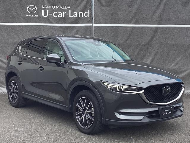 CX-5 2.5 25S Lパッケージ 2WD レーダークルーズ バックカメラ 白本革シート 前席電動シート シートヒーター LEDヘッドライト フォグランプ CDDVDTV パーキングセンサー パワーリフトゲート AAC ETC付き PS(40枚目)