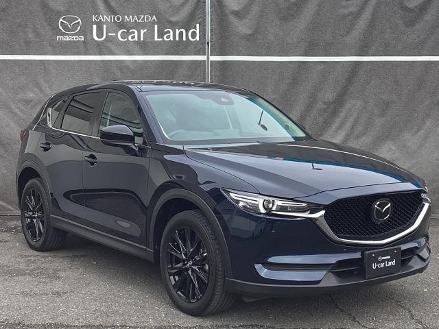 ＣＸ－５ ２．０　２０Ｓ　ブラックトーンエディション　２ＷＤ　３６０°モニター　レーダークルーズ　１９インチアルミ　運転席電動シート　シートヒーター　ウインカーミラー　パワーリフトゲート　パーキングセンサー　ＧＶＣ　車線逸脱警報システム　１オーナー（40枚目）