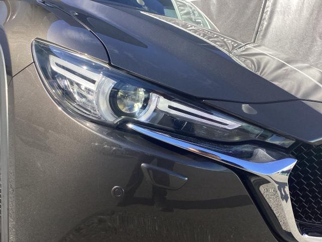 CX-5 2.2 XD プロアクティブ ディーゼルターボ 4WD 360°モニター レーダークルーズ 17インチアルミ 運転席電動シート 前席シートヒーター アクリルバイザー パドルシフト パーキングセンサー パワーリフトゲート アラウンドヴューモニター PWシート(31枚目)