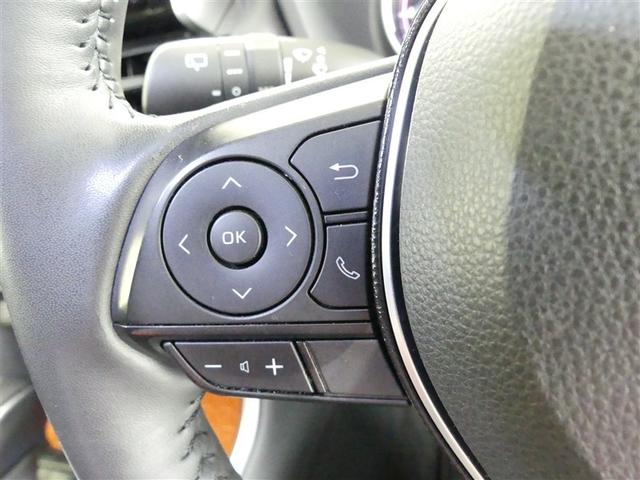 RAV4 アドベンチャー サンルーフ 4WD フルセグ メモリーナビ バックカメラ 衝突被害軽減システム ETC LEDヘッドランプ DVD再生 記録簿 安全装備 オートクルーズコントロール 電動シート ナビ&TV CD(7枚目)