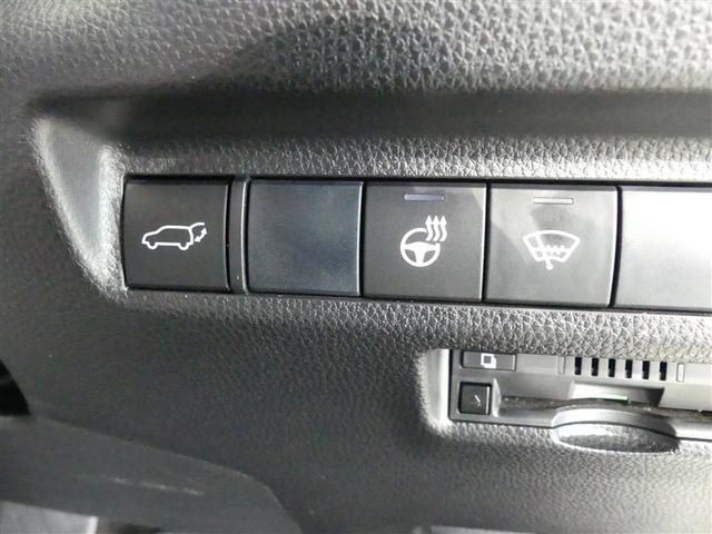 RAV4 アドベンチャー サンルーフ 4WD フルセグ メモリーナビ バックカメラ 衝突被害軽減システム ETC LEDヘッドランプ DVD再生 記録簿 安全装備 オートクルーズコントロール 電動シート ナビ&TV CD(20枚目)