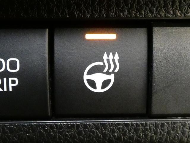 ＲＡＶ４ Ｇ　４ＷＤ　フルセグ　メモリーナビ　バックカメラ　ドラレコ　衝突被害軽減システム　ＥＴＣ　ＬＥＤヘッドランプ　フルエアロ　ワンオーナー　ミュージックプレイヤー接続可　記録簿　安全装備　電動シート　キーレス（22枚目）