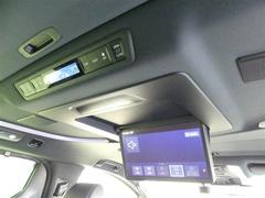 ���ʥ�˥����դ��ǥ��󥰥ɥ饤�֤⤪�Ҥ��ޤ�˰�������ޤ��� 3