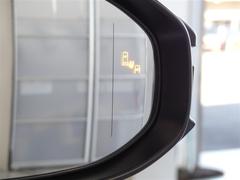 ټξ졼ǸΤɥߥ顼Ǥϳǧˤ¦ꥢ¸ߤξ˲äܶᤷƤξ⸡ΤޤξΤȥɥߥ顼ܤ줿̣ţĥ󥸥ޤ 6