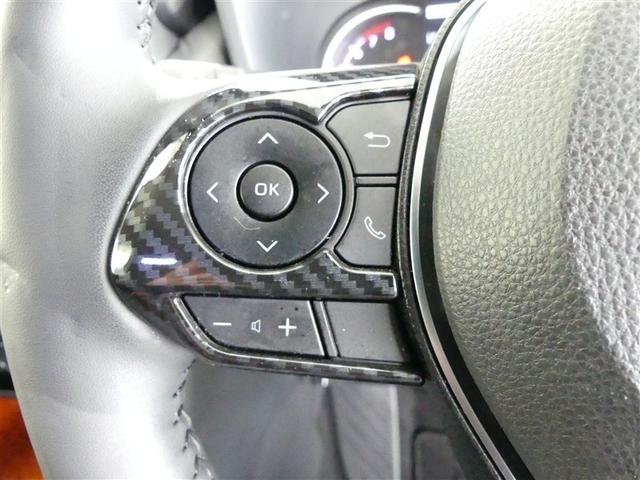 ＲＡＶ４ アドベンチャー　４ＷＤ　フルセグ　メモリーナビ　バックカメラ　衝突被害軽減システム　ＥＴＣ　ＬＥＤヘッドランプ　ワンオーナー　ＤＶＤ再生　記録簿　安全装備　オートクルーズコントロール　電動シート　ナビ＆ＴＶ　ＣＤ（16枚目）