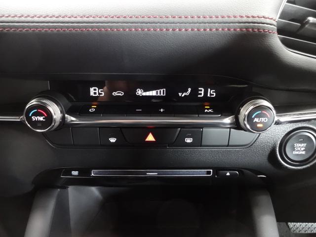 ＭＡＺＤＡ３ファストバック １．５　１５Ｓ　ブラックトーンエディション（19枚目）