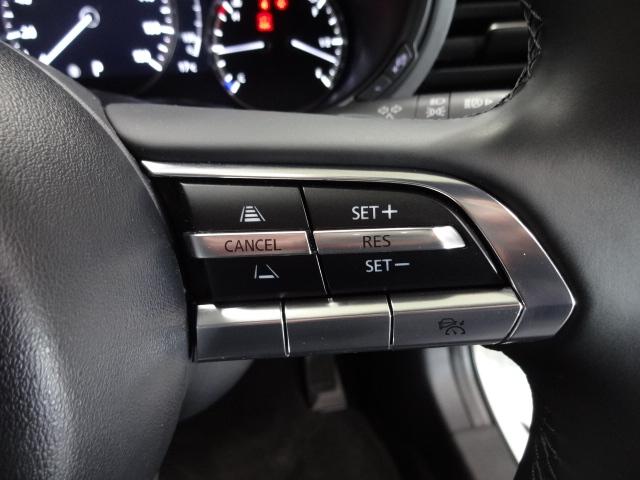 ＭＡＺＤＡ３ファストバック １．５　１５Ｓ　ブラックトーンエディション（22枚目）