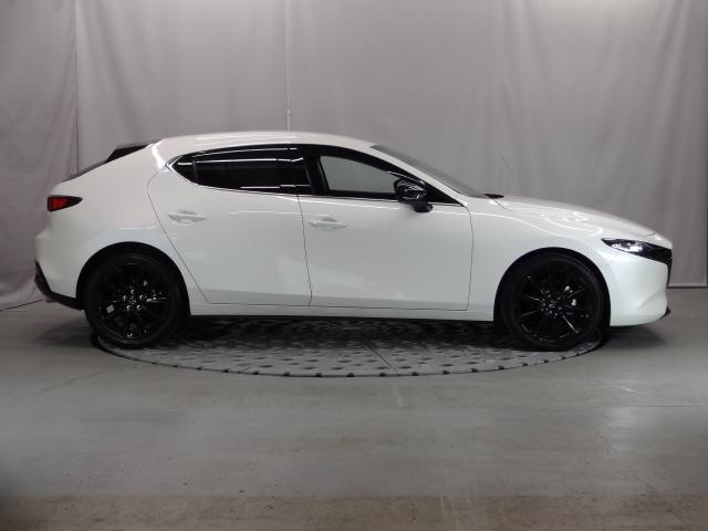 ＭＡＺＤＡ３ファストバック １．５　１５Ｓ　ブラックトーンエディション（39枚目）