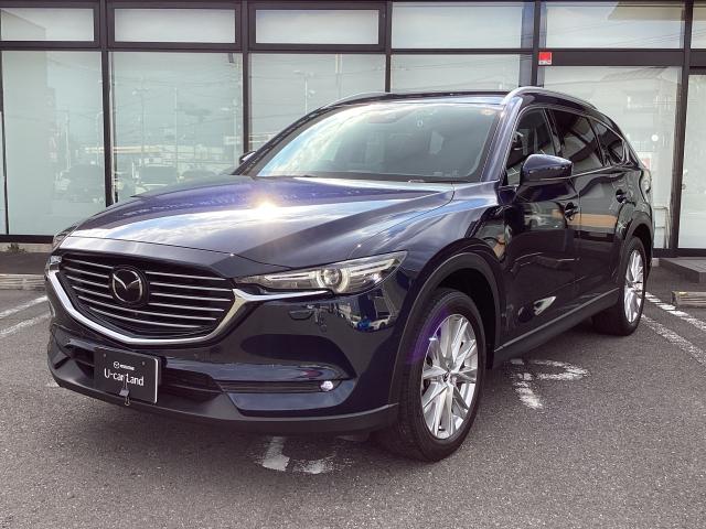 ＣＸ－８ ２．２　ＸＤ　プロアクティブ　ディーゼルターボ　４ＷＤ　７人乗り　後席フリップダウンモニター　３６０°ビューモニター　マツダコネクトナビ　スマートインＥＴＣ２．０　アドバンストキー　横滑り防止機能　ＵＳＢポート　電動Ｒゲート　地デジ　アイスト　ＥＴＣ車載器（35枚目）