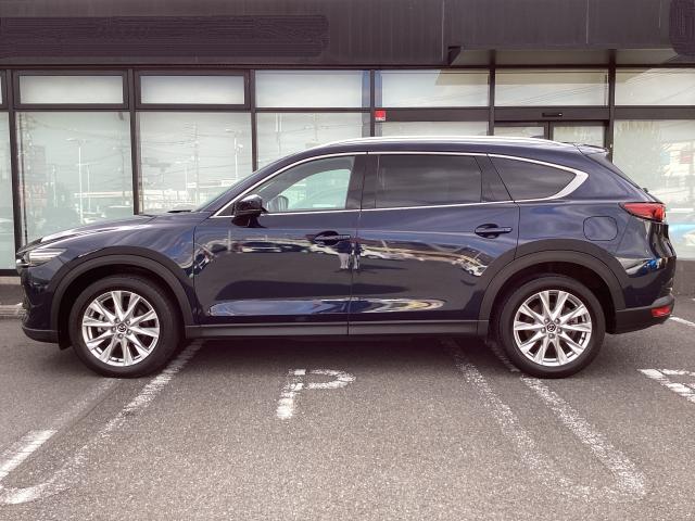 ＣＸ－８ ２．２　ＸＤ　プロアクティブ　ディーゼルターボ　４ＷＤ　７人乗り　後席フリップダウンモニター　３６０°ビューモニター　マツダコネクトナビ　スマートインＥＴＣ２．０　アドバンストキー　横滑り防止機能　ＵＳＢポート　電動Ｒゲート　地デジ　アイスト　ＥＴＣ車載器（36枚目）