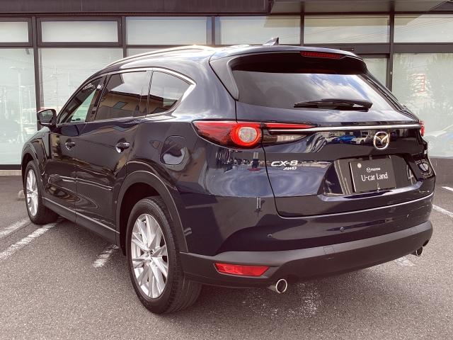 ＣＸ－８ ２．２　ＸＤ　プロアクティブ　ディーゼルターボ　４ＷＤ　７人乗り　後席フリップダウンモニター　３６０°ビューモニター　マツダコネクトナビ　スマートインＥＴＣ２．０　アドバンストキー　横滑り防止機能　ＵＳＢポート　電動Ｒゲート　地デジ　アイスト　ＥＴＣ車載器（37枚目）