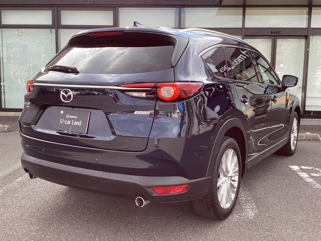 ＣＸ－８ ２．２　ＸＤ　プロアクティブ　ディーゼルターボ　４ＷＤ　７人乗り　後席フリップダウンモニター　３６０°ビューモニター　マツダコネクトナビ　スマートインＥＴＣ２．０　アドバンストキー　横滑り防止機能　ＵＳＢポート　電動Ｒゲート　地デジ　アイスト　ＥＴＣ車載器（38枚目）
