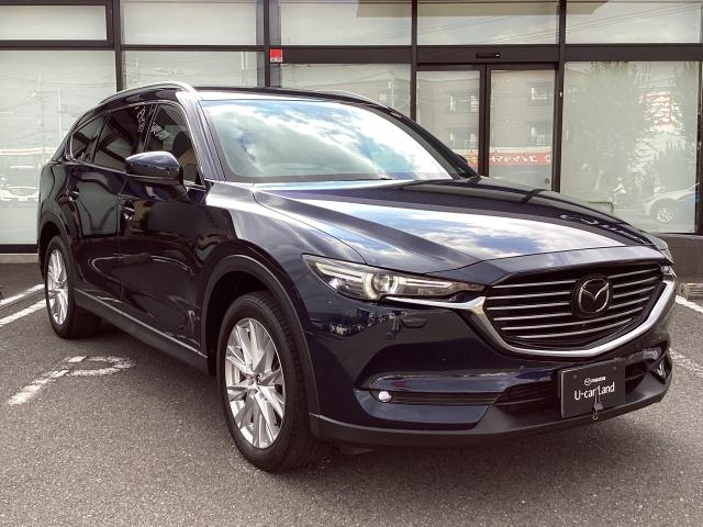 ＣＸ－８ ２．２　ＸＤ　プロアクティブ　ディーゼルターボ　４ＷＤ　７人乗り　後席フリップダウンモニター　３６０°ビューモニター　マツダコネクトナビ　スマートインＥＴＣ２．０　アドバンストキー　横滑り防止機能　ＵＳＢポート　電動Ｒゲート　地デジ　アイスト　ＥＴＣ車載器（40枚目）