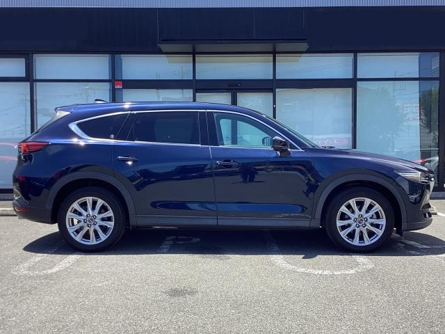 ＣＸ－８ ２．２　ＸＤ　プロアクティブ　ディーゼルターボ　７人乗り　３６０度カメラ　アルパインフリップダウンモニター　シートヒーター　ＥＴＣ２．０　アドバンストキー　横滑り防止機能　ＵＳＢポート　地デジ　アイスト　ＥＴＣ車載器　ＤＶＤ再生可　エアコン　ターボ（39枚目）