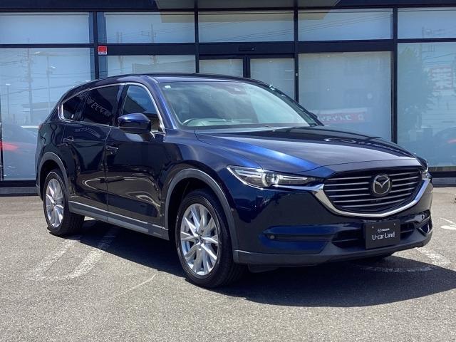 ＣＸ－８ ２．２　ＸＤ　プロアクティブ　ディーゼルターボ　７人乗り　３６０度カメラ　アルパインフリップダウンモニター　シートヒーター　ＥＴＣ２．０　アドバンストキー　横滑り防止機能　ＵＳＢポート　地デジ　アイスト　ＥＴＣ車載器　ＤＶＤ再生可　エアコン　ターボ（40枚目）