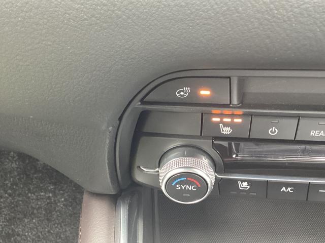 ＣＸ－８ ２．２　ＸＤ　プロアクティブ　Ｓパッケージ　ディーゼルターボ　シートヒーター、シートベンチレーション、３６０度カメラ　ＥＴＣ　地上デジタル　Ｂｌｕｅｔｏｏｔｈオーディオ　キーレス　衝突軽減ブレーキ　アドバンスドキー　ナビ＆ＴＶ　ターボ　オートハイビーム　ＬＥＤ（20枚目）