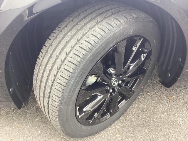 ＣＸ－３ １．５　１５Ｓ　スーパー　エッジー　２ＷＤ　３６０°モニター　レーダークルーズ　１８ＡＷ　２カメラドライブレコーダー　運転席電動シート　シートヒーター　パーキングセンサー　ＧＶＣ　ＣＤＤＶＤＴＶ　禁煙　前席シートヒーター　ドラレコ　ＢＴ（33枚目）