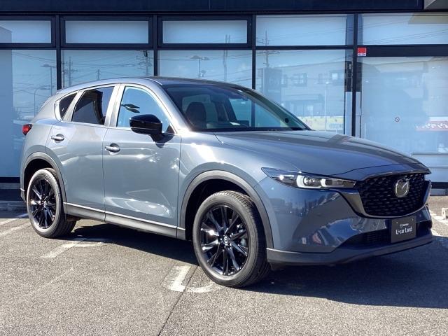 ＣＸ－５ ２．２　ＸＤ　ブラックトーンエディション　ディーゼルターボ　ワイヤレス充電　スマホアプリ連動　ハンズフリー機能付きパワーリフトゲート　ＢＯＳＥサウンドシステム　ＵＳＢ－Ｃポイント　３６０度カメラ　禁煙　ＬＥＤライト　アドバンスドキー　Ｂｌｕｅｔｏｏｔｈ　ＥＴＣ（40枚目）