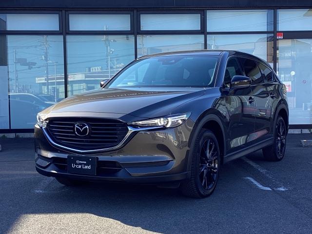ＣＸ－８ ２．２　ＸＤ　ブラックトーン　エディション　ディーゼルターボ　マツダコネクトナビ　フルセグＴＶ　Ｂｌｕｅｔｏｏｔｈ　ＵＳＢ　運転席パワーシート　シートヒータ　マツダレーダークルーズ　ワンオーナー７　３６０ビュー　電動リヤゲート　衝突軽減装置　追従クルコン　ＥＴＣ（35枚目）