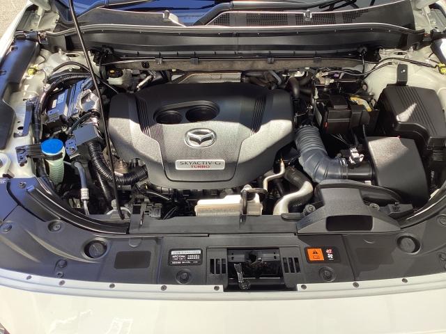 ���j�A�ȉ������X�|���X�𔭊����A�}�c�_�Ȃ�ł͂́u���銽�сv��̌������^�[�{�G���W���A�r�j�x�`�b�s�h�u-�f�@�Q�D�T�s�𓋍ځI