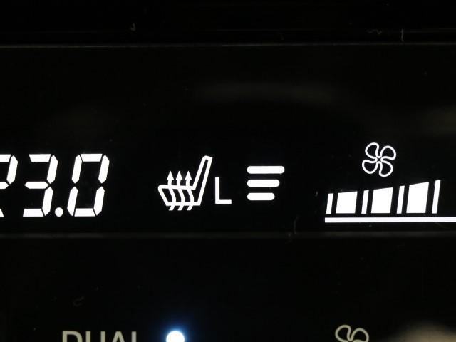 エレガンス 車検整備付 ナビ 本革シート ETC バックM(11枚目)