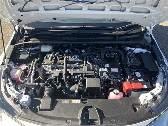 �u���肪�Ƃ��v���Č�����撣��J�[���C�t�A�h�o�C�U�[�ł��肽���B����A�����X���������B