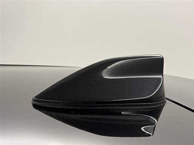 ライズ X フルセグナビTV バックカメラ 前後ドラレコ DVD再生 クリアランスソナー キーフリー スマ-トキー アイドルストップ パワステ LEDランプ Wエアバック ワンオーナー ESC AUX接続(38枚目)