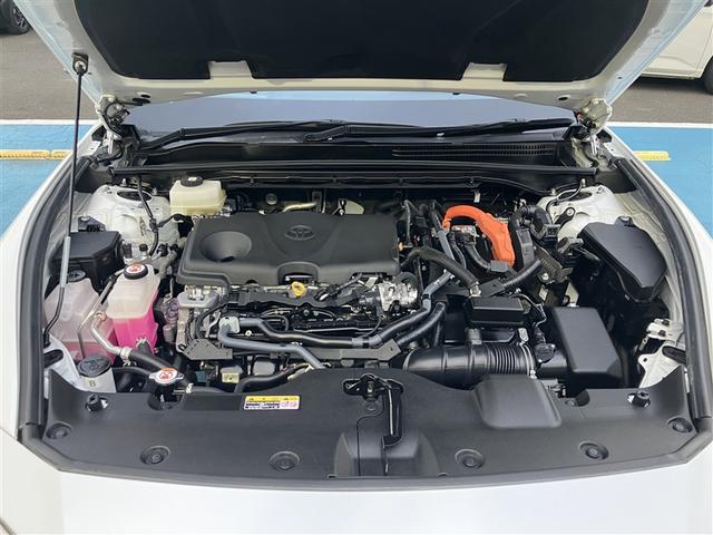 ��؂Ȑl�ɋC�����悭����Ă��炢�����E�E�E����ȋC���������߂Ă��q�l�̃J�[���C�t�ɋ��͂����Ă��������B