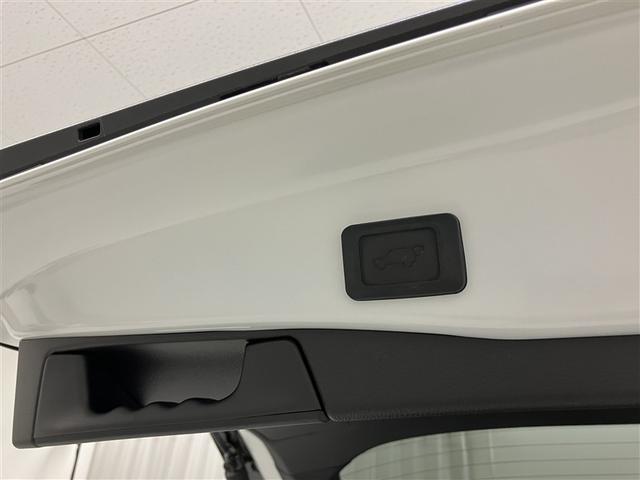 RAV4 ハイブリッドG 衝突被害軽減装置 ドライブレコーダ AC100V電源 バックモニター 整備記録簿 地デジTV LEDヘッドライト スマキー 電動シ-ト AWD TVナビ パワステ 横滑り防止装置 クルコン AAC(33枚目)