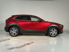 ŹŸξˡ̣äƤˤ꤬ȤޤͥåȷǺܼξΰ١Ѥߤξ⤴ޤΤǡŹ˺߸ˤΤǧ򤪴ꤤפޤ 3