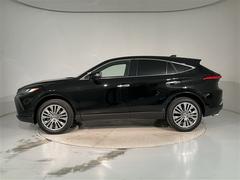 �ϥꥢ�� �ڡ����롼���á��ɥ饤�֥쥳�������¥���顡��Ͽ��ͭ 0501835A20260206T004 2