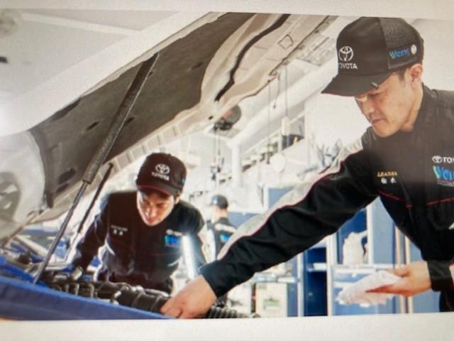ストライプスG 20キロ 届出済未使用車 衝突被害軽減機能 オーディオレス 両側電動スライドドア LEDヘッドライト ホッとカップホルダー シートヒーター フロアマット サイドバイザー(47枚目)