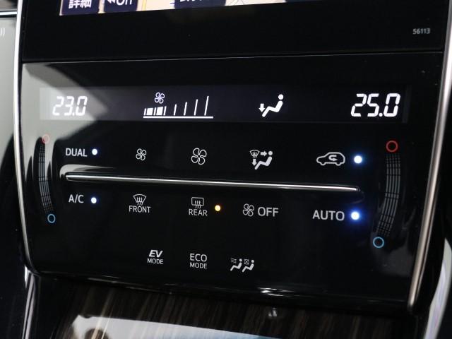 エレガンス ワンオーナー SDナビ バックモニター ETC(10枚目)