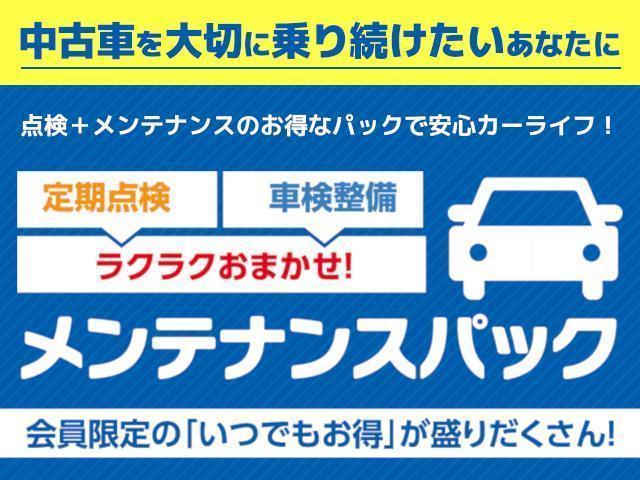 プログレス スタイルブルーイッシュ ETC メモリーナビ ワンオーナー TSS(27枚目)