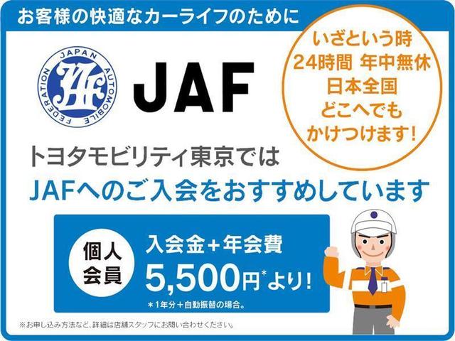 プログレス スタイルブルーイッシュ ETC メモリーナビ ワンオーナー TSS(38枚目)