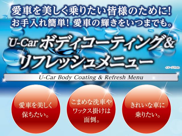 プログレス スタイルブルーイッシュ ETC メモリーナビ ワンオーナー TSS(49枚目)