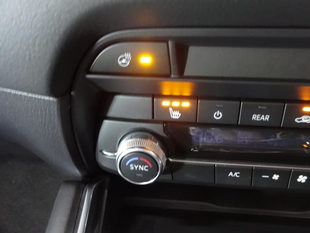 ＣＸ－８ ２．２　ＸＤ　ブラックトーン　エディション　ディーゼルターボ　７人乗り　シート：合成皮革ブラック（赤ステッチ）　サイドガーニッシュ　ルーフレール　電動スライドガラスサンルーフ　１０．２５インチセンターディスプレイ　地上デジタルＴＶチューナー　ボーズサウンドシステ（21枚目）