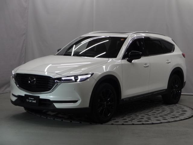 ＣＸ－８ ２．２　ＸＤ　ブラックトーン　エディション　ディーゼルターボ　７人乗り　シート：合成皮革ブラック（赤ステッチ）　サイドガーニッシュ　ルーフレール　電動スライドガラスサンルーフ　１０．２５インチセンターディスプレイ　地上デジタルＴＶチューナー　ボーズサウンドシステ（35枚目）