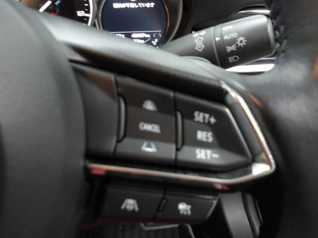 �l�q�b�b�i�}�c�_���[�_�[�N���[�Y�R���g���[���j�͐�s�ԂƂ̎ԊԂ��ێ����Ȃ���Ǐ]���s���s���A�������ł̃h���C�o�[���S���y�������Ă���܂��B