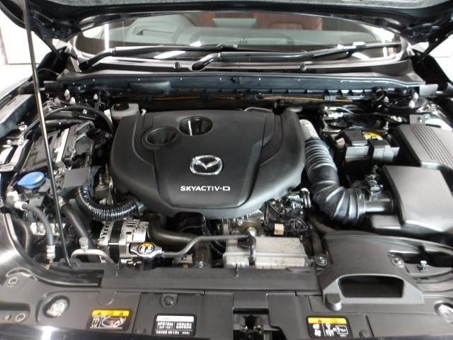 �b�n�Q�̔r�o�ʂ̏��Ȃ��Ȃǃf�B�[�[���G���W���̒������ő���ɐ������㎿�ŉ��K�ȑ���������������r�j�x�`�b�s�h�u-�c�𓋍ځI